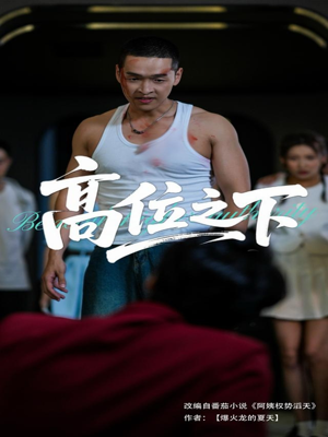 高位之下(65集) 高位之下(65集)短剧热播中抢先看