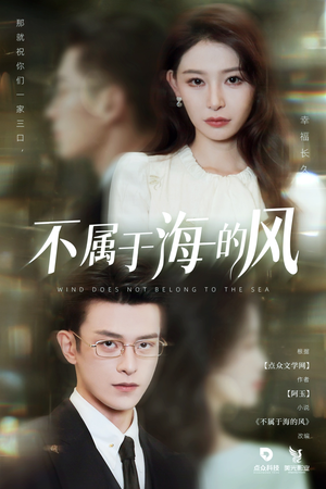不属于海的风(40集) 不属于海的风(40集)短剧合集蓝光画质