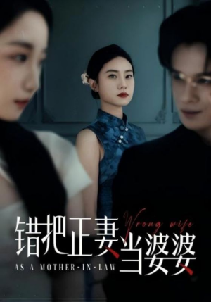 错把正妻当婆婆(46集) 错把正妻当婆婆(46集)热门情感家庭短剧