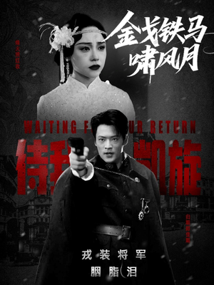 金戈铁马啸风月(54集) 金戈铁马啸风月(54集)短剧最终章免费合集