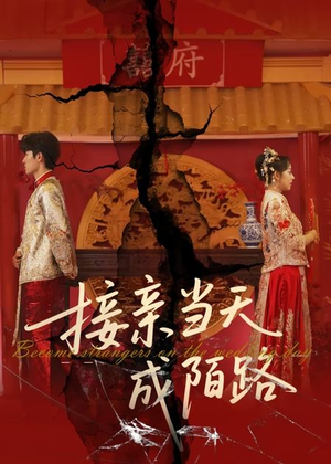 接亲当天成陌路(50集) 接亲当天成陌路(50集)短剧合集蓝光画质