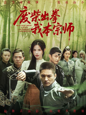 废柴出拳我本宗师(61集) 废柴出拳我本宗师(61集)万里归乡短剧精彩剧情