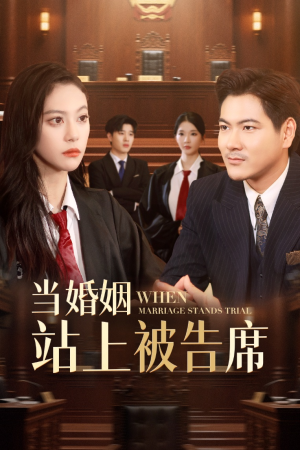 当婚姻站上被告席(30集) 当婚姻站上被告席(30集)热门火爆短剧推荐