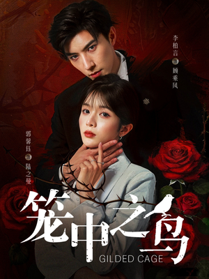 笼中之鸟(70集) 笼中之鸟(70集)短剧追到爽全集完整版