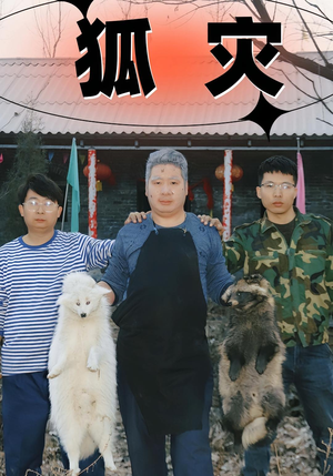 狐灾(25集) 狐灾(25集)短剧全系列免费畅享