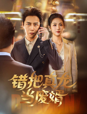 错把真龙当废婿(60集) 错把真龙当废婿(60集)深夜必看热门短剧推荐