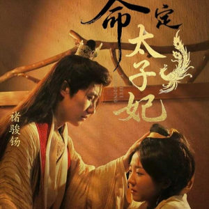 命定太子妃(63集) 命定太子妃(63集)精彩短片好剧推荐