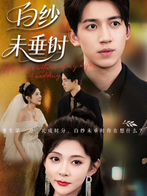 老婆婚礼，我当证婚人（54集）短剧全剧免费合集