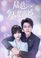 陆总今天要离婚(81集) 陆总今天要离婚(81集)热门小说改编短剧