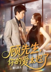 顾先生你的爱太迟了（60集）热门短剧推荐准时更新