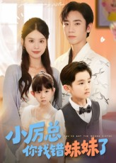 小厉总你找错妹妹了(52集) 小厉总你找错妹妹了(52集)短剧全集大结局完整版