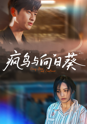 疯鸟与向日葵（40集）短剧合集4K修复版