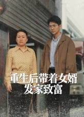 重生后带着女婿发家致富（41集）热门短剧推荐短剧片段