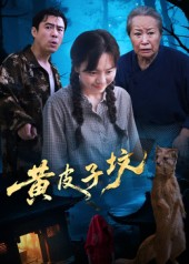 黄皮子坟（35集）精彩的短剧又来了