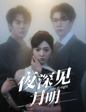 夜深见月明(50集) 夜深见月明(50集)热播短剧抢先看大结局