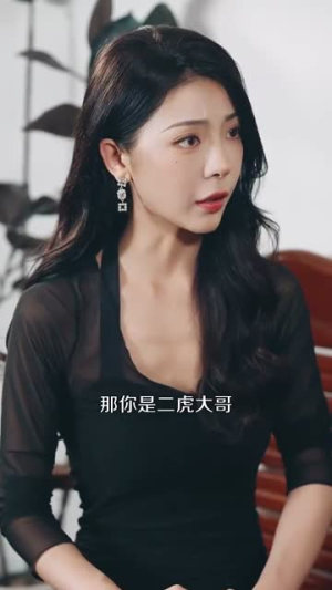 无敌贾二虎（80集）短剧排行榜前十名