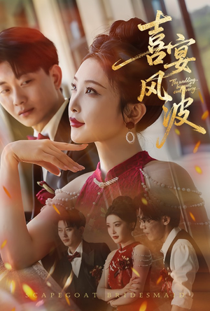 替罪伴娘（30集）短剧热播中抢先看