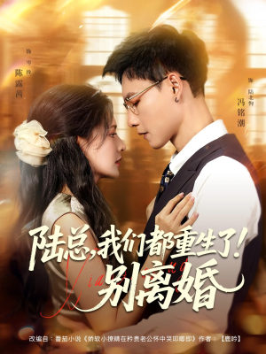 陆总我们都重生了别离婚（79集）亿人都在追的精彩短剧