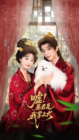 嘘暴君是我掌上犬短剧大结局连更全集