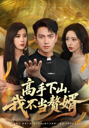 高手下山我不当赘婿（66集）短剧大结局超前点映