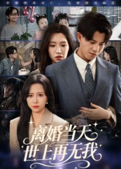 离婚当天世上再无我（60集）新剧来袭热门短剧推荐