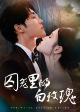 囚笼里的白玫瑰（59集）短剧爆款全集在线播