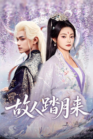 故人踏月来(60集) 故人踏月来(60集)短剧合集导演剪辑版