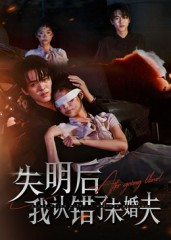 失明后我认错了未婚夫(34集) 失明后我认错了未婚夫(34集)深夜短剧推荐精彩片段