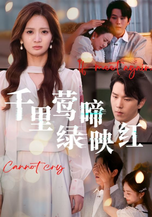 千里莺啼绿映红(63集) 千里莺啼绿映红(63集)短剧完结篇全集连播