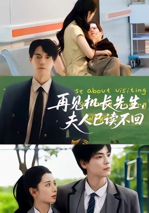 再见机长先生夫人已读不回（62集）每天更新最火短剧