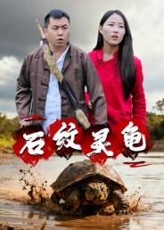 石纹灵龟(30集) 石纹灵龟(30集)热播短剧火爆来袭