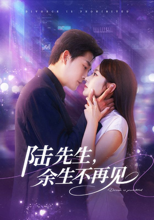 陆先生，余生不再见（88集）精彩短剧片段分享
