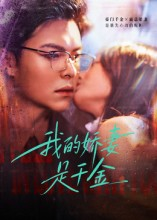 我的娇妻是千金（56集）精彩古装短剧推荐