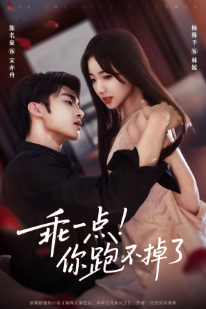 乖一点！你跑不掉了（85集）精彩短剧等你来看