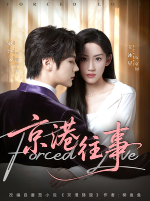 京港往事(80集) 京港往事(80集)短剧最终章免费合集