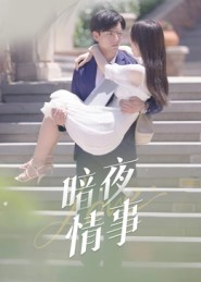 暗夜情事(100集) 暗夜情事(100集)短剧合集导演剪辑版