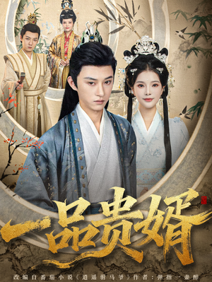 一品贵婿（80集）男女都爱看的短剧片段