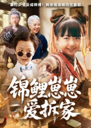 锦鲤崽崽爱拆家（80集）热门短剧新剧推荐