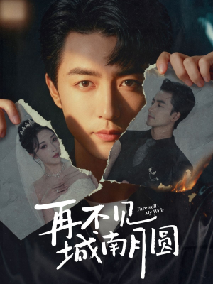 再不见城南月圆(60集) 再不见城南月圆(60集)全集短剧大结局抢先看