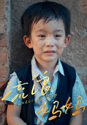 流浪妈妈（30集）亿人都在追的精彩短剧