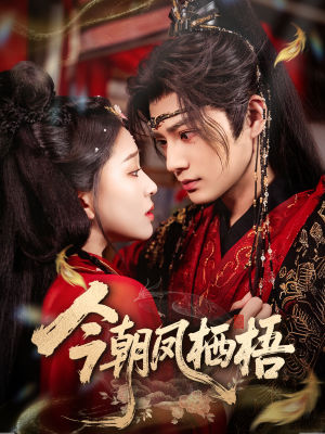 今朝凤栖梧（68集）更新短剧精彩不断