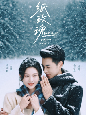 纸玫瑰第二部（80集）分享短剧每天更新