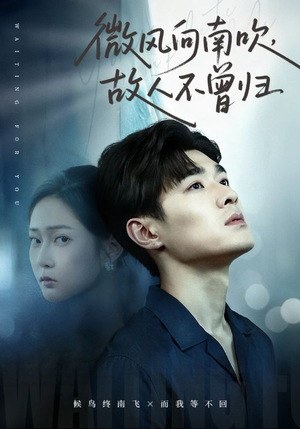 微风向南吹，故人不曾归（72集）重生短剧热门短剧推荐