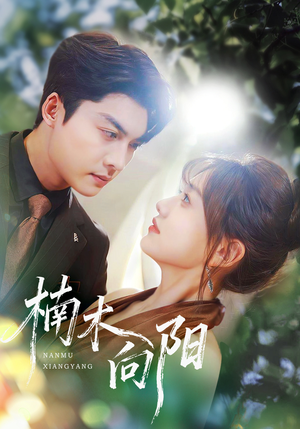 楠木向阳（70集）短剧分享好剧推荐