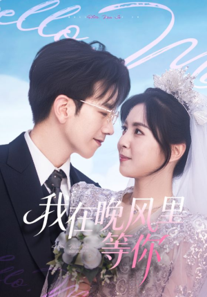 我在晚风里等你（65集）短剧推荐正在热播