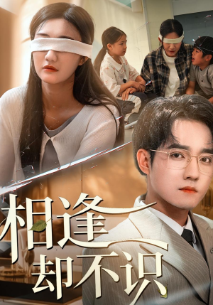 相逢却不识（77集）短剧全剧终高清放送