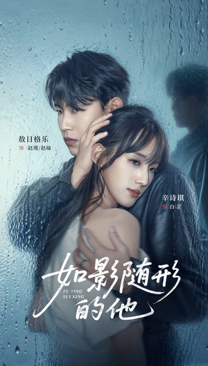 如影随形的他（30集）每天更新最火短剧