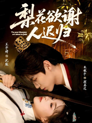 梨花欲谢人迟归（60集）短剧大结局连更全集