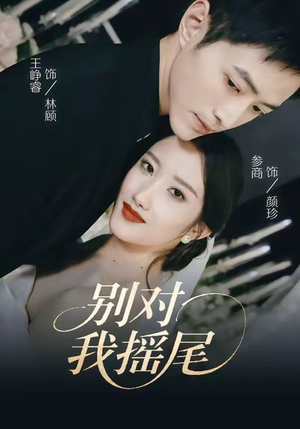 别对我摇尾（59集）短剧全集VR沉浸版