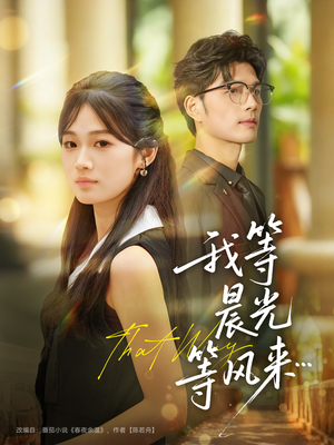 我等晨光等风来（70集）超好看短剧追不停